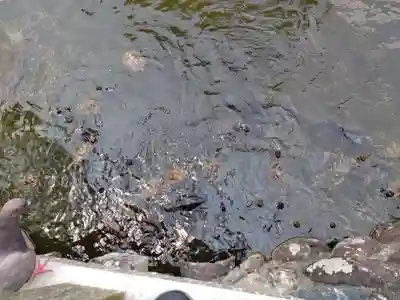 川原神社(愛知県)