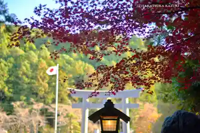 小國神社(静岡県)