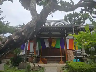 施福寺(大阪府)