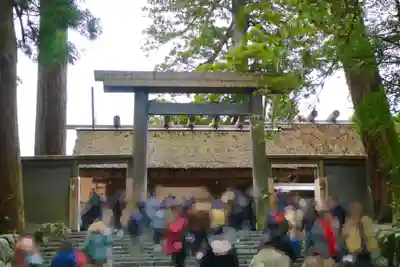 伊勢神宮内宮(皇大神宮)の鳥居