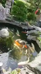 尾張猿田彦神社の庭園