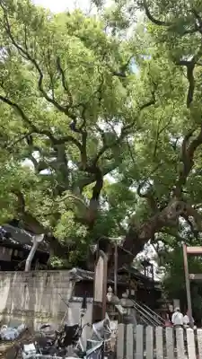 三島神社(大阪府)