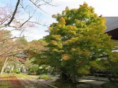 福聚寺(福島県)