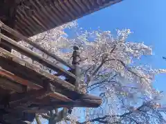 長谷寺(長野県)