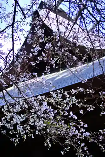 冨士御室浅間神社(山梨県)