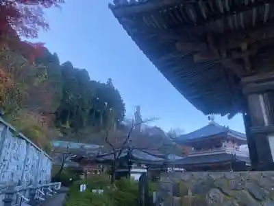 南法華寺（壷阪寺）(奈良県)