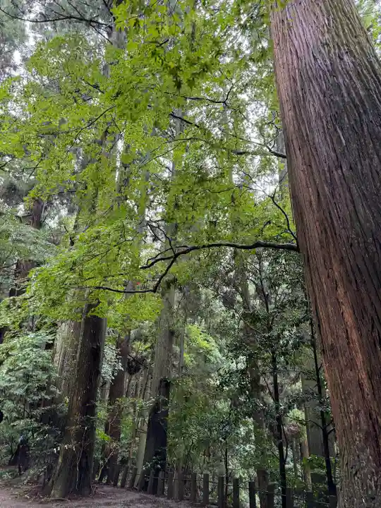槵觸神社(宮崎県)