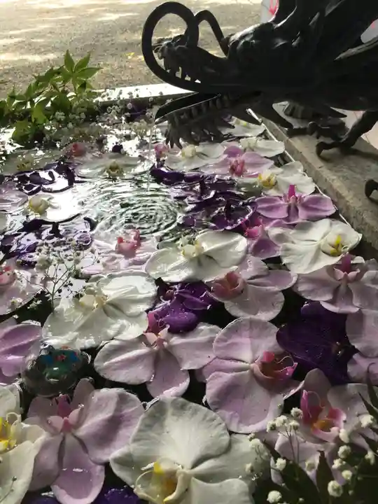 札幌諏訪神社の手水舎