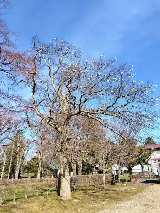 厚別神社(北海道)