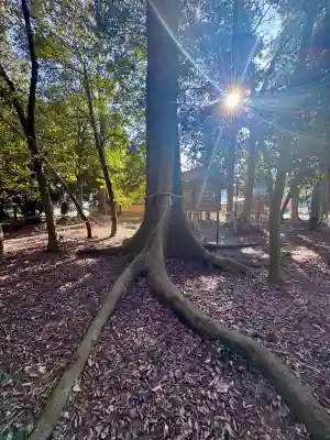 豊満神社の{uncategorized: "未分類", other: "その他", undefined: "問題あり", building: "その他建物", grave: "お墓", sacred_gate: "鳥居", guardian: "狛犬", statue: "像", buddha: "仏像", history: "歴史", nature: "自然", garden: "庭園", animal: "動物", pagoda: "塔", temizu: "手水舎", mountain_gate: "山門・神門", sanctuary: "本殿・本堂", subordinate: "末社・摂社", art: "芸術", scenery: "景色", jizo: "地蔵", ema: "絵馬", goshuin: "御朱印", omikuji: "おみくじ", items: "授与品その他", amulet: "お守り", goshuincho: "御朱印帳", eats: "食事", festival: "お祭り", votive_dance: "神楽", shichigosan: "七五三参", wedding: "結婚式", experience: "体験その他", initially: "初詣", around: "周辺", anti_infection: "感染症対策"}