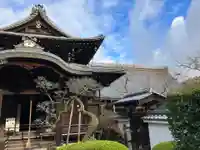 聴松院(京都府)