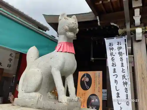三光稲荷神社の狛犬