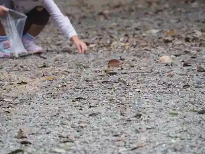 川田八幡神社のその他建物
