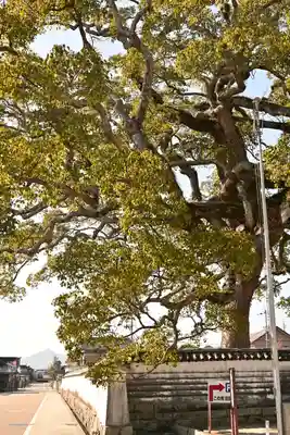 周防国分寺(山口県)