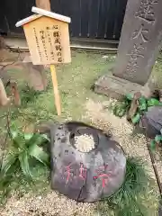 陽運寺の建物その他