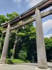 明治神宮の鳥居