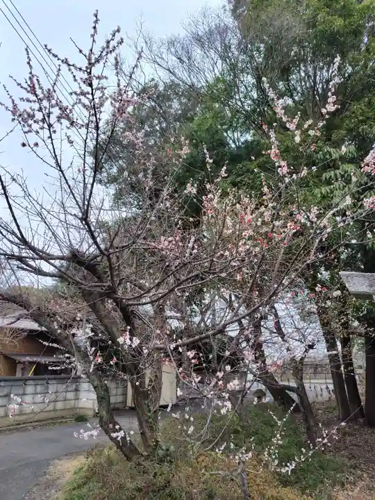 玉敷神社(埼玉県)