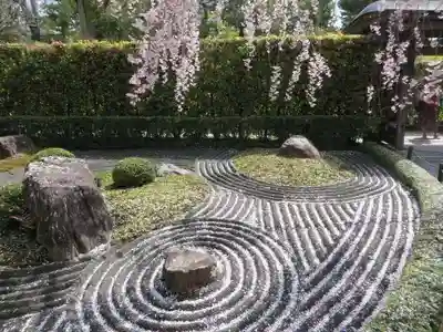 退蔵院(京都府)