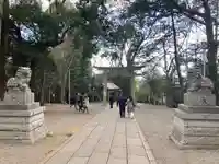 谷保天満宮の狛犬