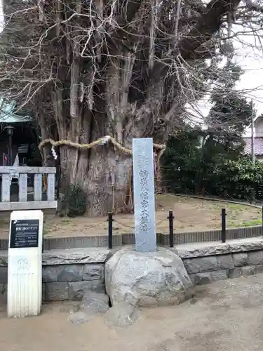 鶴嶺八幡宮の自然