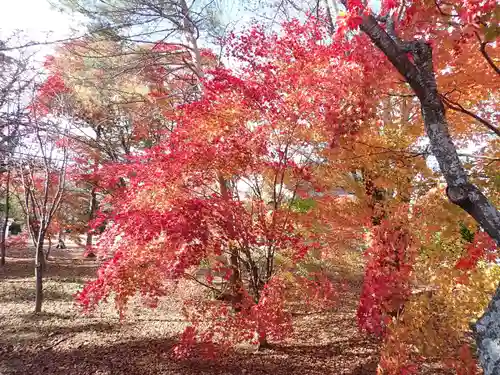 大樹神社の自然