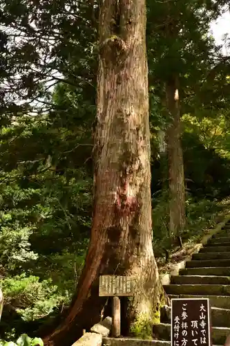 大山寺(鳥取県)