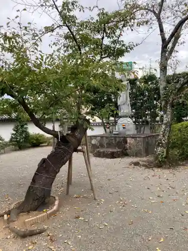 龍泉寺の仏像