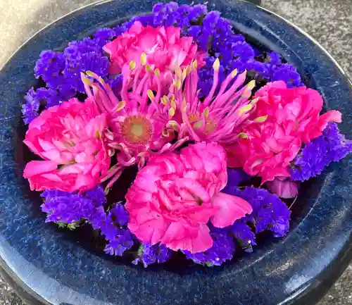 真言宗　善通寺派　薬王寺(香川県)