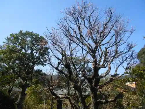 光触寺の庭園