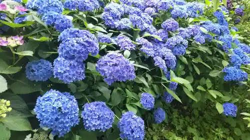瀬戸神社(神奈川県)