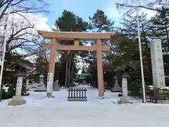 琴似神社の鳥居