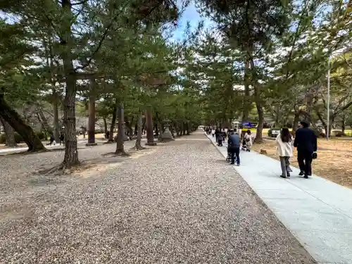 出雲大社(島根県)