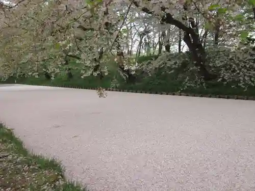 青森縣護國神社の自然