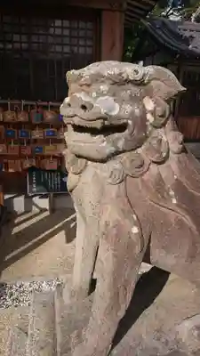 水堂須佐男神社の狛犬