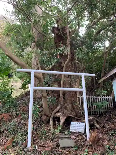 八幡神社の自然