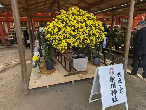 武蔵一宮氷川神社の庭園