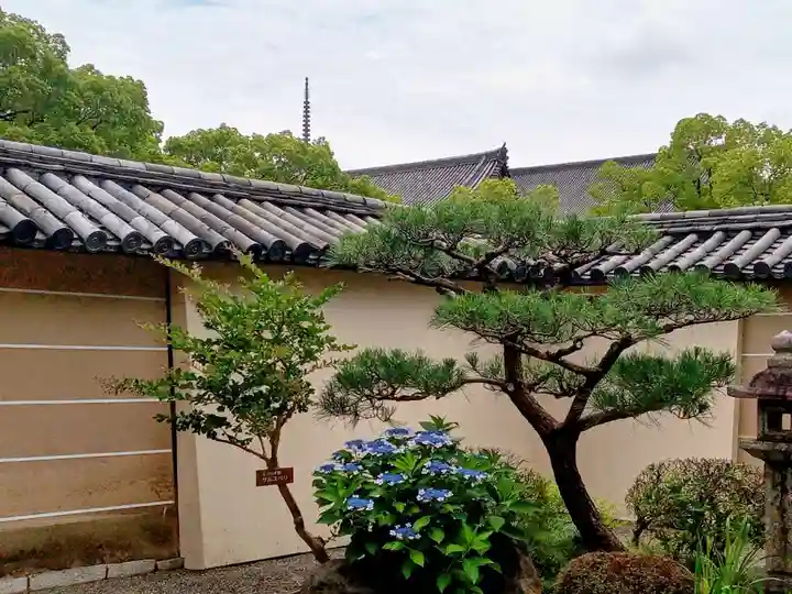 東寺(教王護国寺)(京都府)