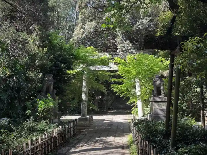 赤坂氷川神社(東京都)
