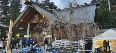 開成山大神宮の本殿・本堂