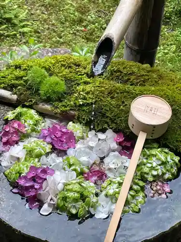 柳谷観音　楊谷寺の手水舎