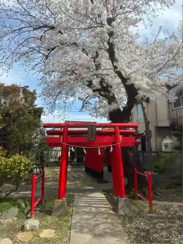 白山神社(東京都)