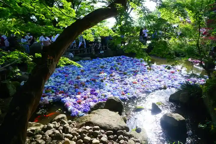 楽法寺(雨引観音)(茨城県)