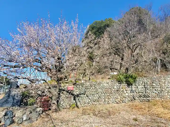 稲荷神社(借宿町)(栃木県)