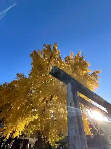 丹生酒殿神社(和歌山県)