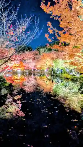 東寺（教王護国寺）(京都府)