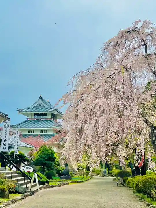 糠部神社の{uncategorized: "未分類", other: "その他", undefined: "問題あり", building: "その他建物", grave: "お墓", sacred_gate: "鳥居", guardian: "狛犬", statue: "像", buddha: "仏像", history: "歴史", nature: "自然", garden: "庭園", animal: "動物", pagoda: "塔", temizu: "手水舎", mountain_gate: "山門・神門", sanctuary: "本殿・本堂", subordinate: "末社・摂社", art: "芸術", scenery: "景色", jizo: "地蔵", ema: "絵馬", goshuin: "御朱印", omikuji: "おみくじ", items: "授与品その他", amulet: "お守り", goshuincho: "御朱印帳", eats: "食事", festival: "お祭り", votive_dance: "神楽", shichigosan: "七五三参", wedding: "結婚式", experience: "体験その他", initially: "初詣", around: "周辺", anti_infection: "感染症対策"}