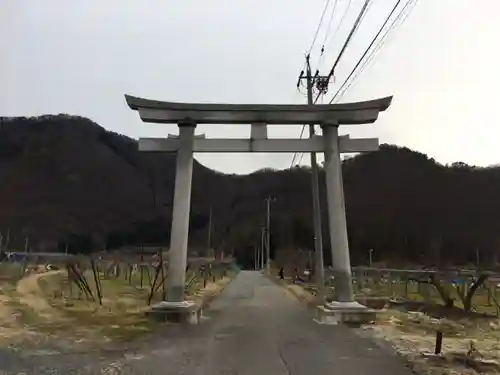 小坂神社の鳥居