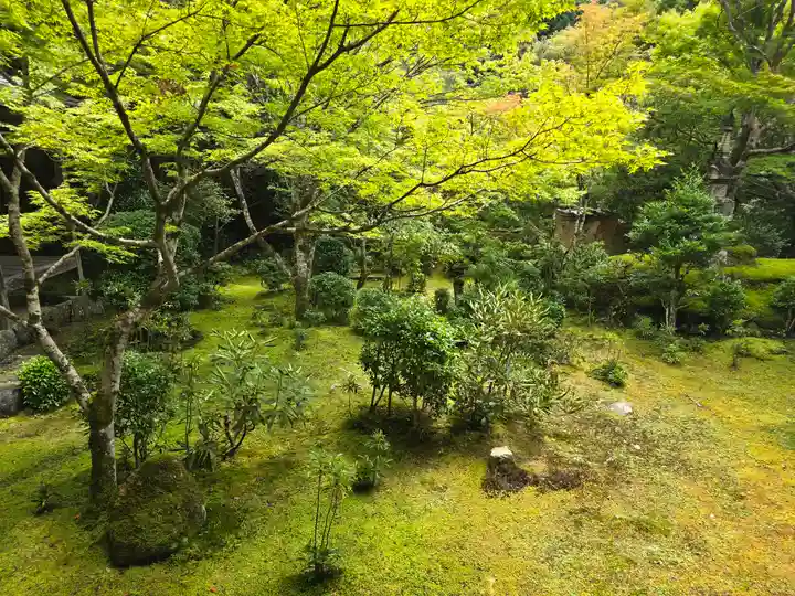 西明寺(京都府)