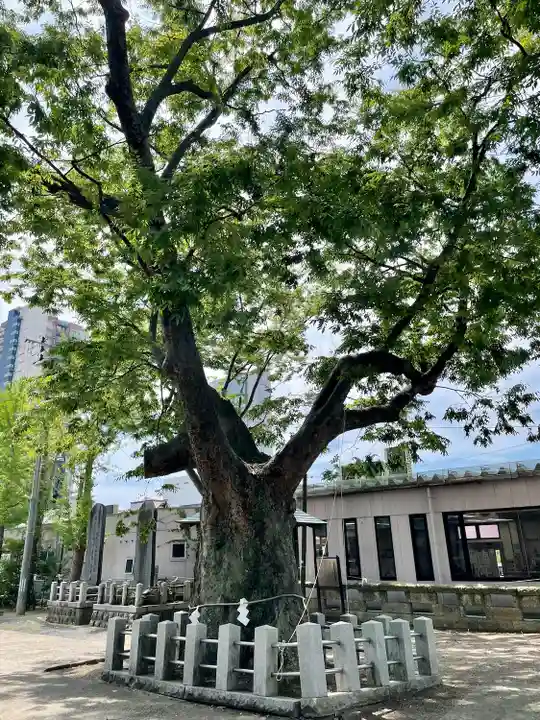 阿邪訶根神社(福島県)