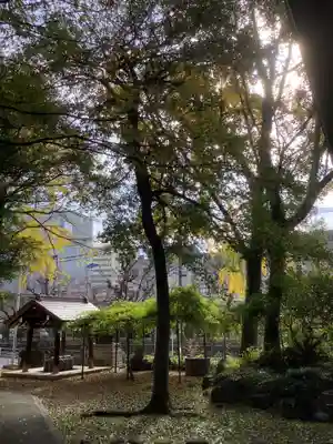 闇之森八幡社の自然